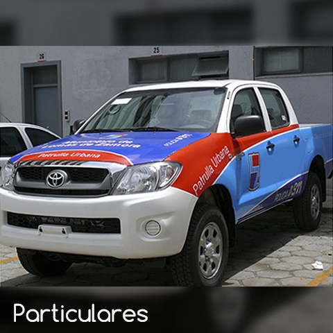 Grafica Vehicular 6